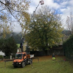 Spezialkranarbeiten Baumpflege mit Partner Rainer Tramberger